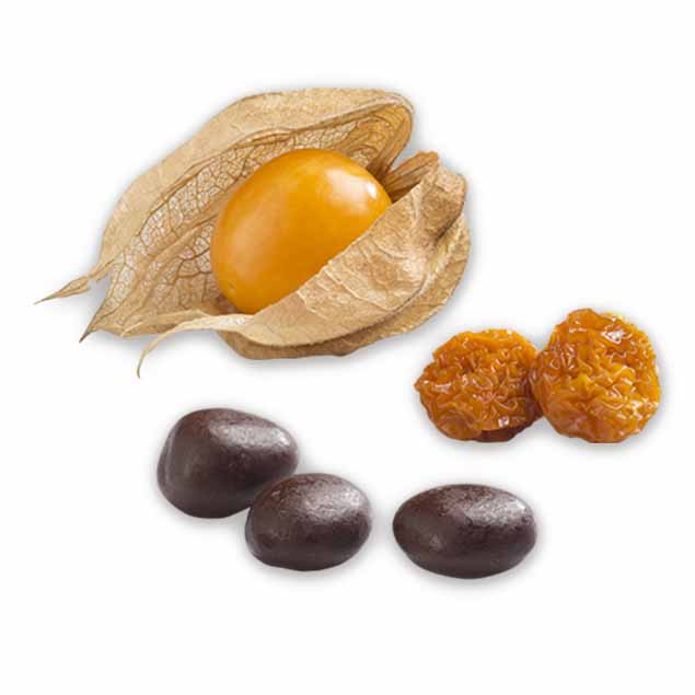 Aguaymanto Deshidratado Cubierta con Chocolate Orgánico 20 gr