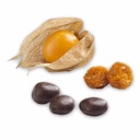 Aguaymanto Deshidratado Cubierta con Chocolate Orgánico 20 gr
