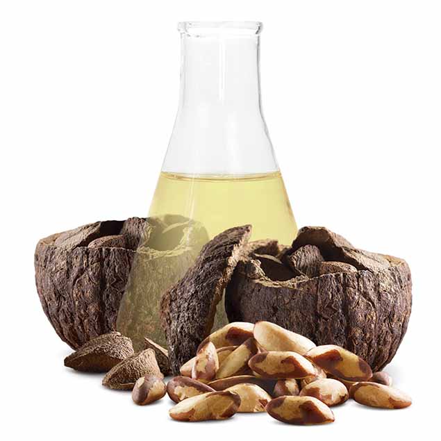 Aceite de Castaña Orgánico - 30 ml