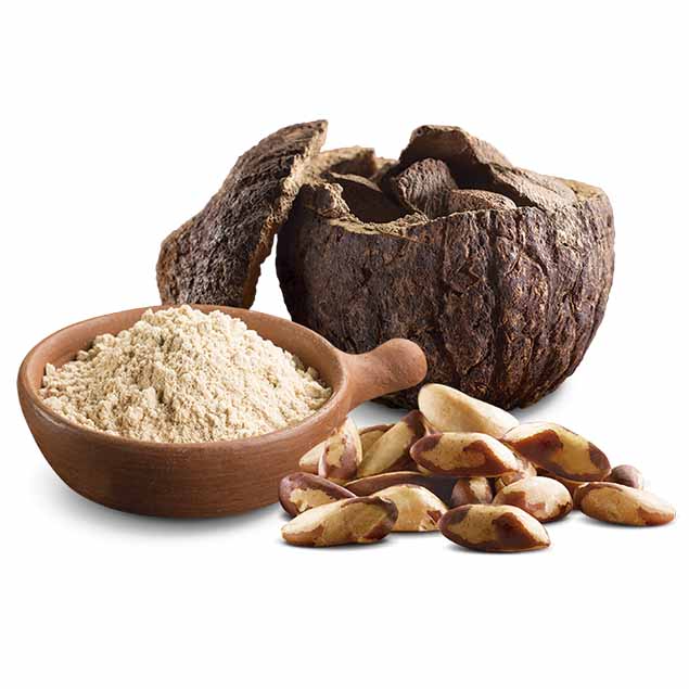 Polvo de Castaña Orgánico 225 gr