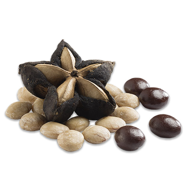 Sacha Inchi Cubierto con Chocolate Orgánico 20 gr