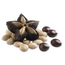 Sacha Inchi Cubierto con Chocolate Orgánico 20 gr
