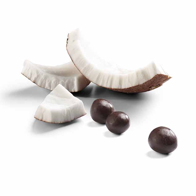 Coco Cubierto con Chocolate Orgánico 20 gr